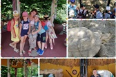 Mraveki ZOO 4.jpg